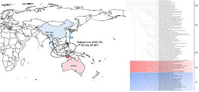 The reemerging and outbreak of genotypes 4 and 5 of Japanese encephalitis virus